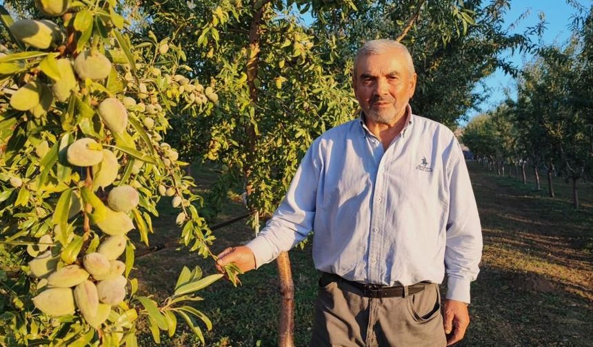 Doktorun tavsiyesi patron etti