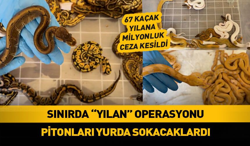 Sınırda "yılan" operasyonu!