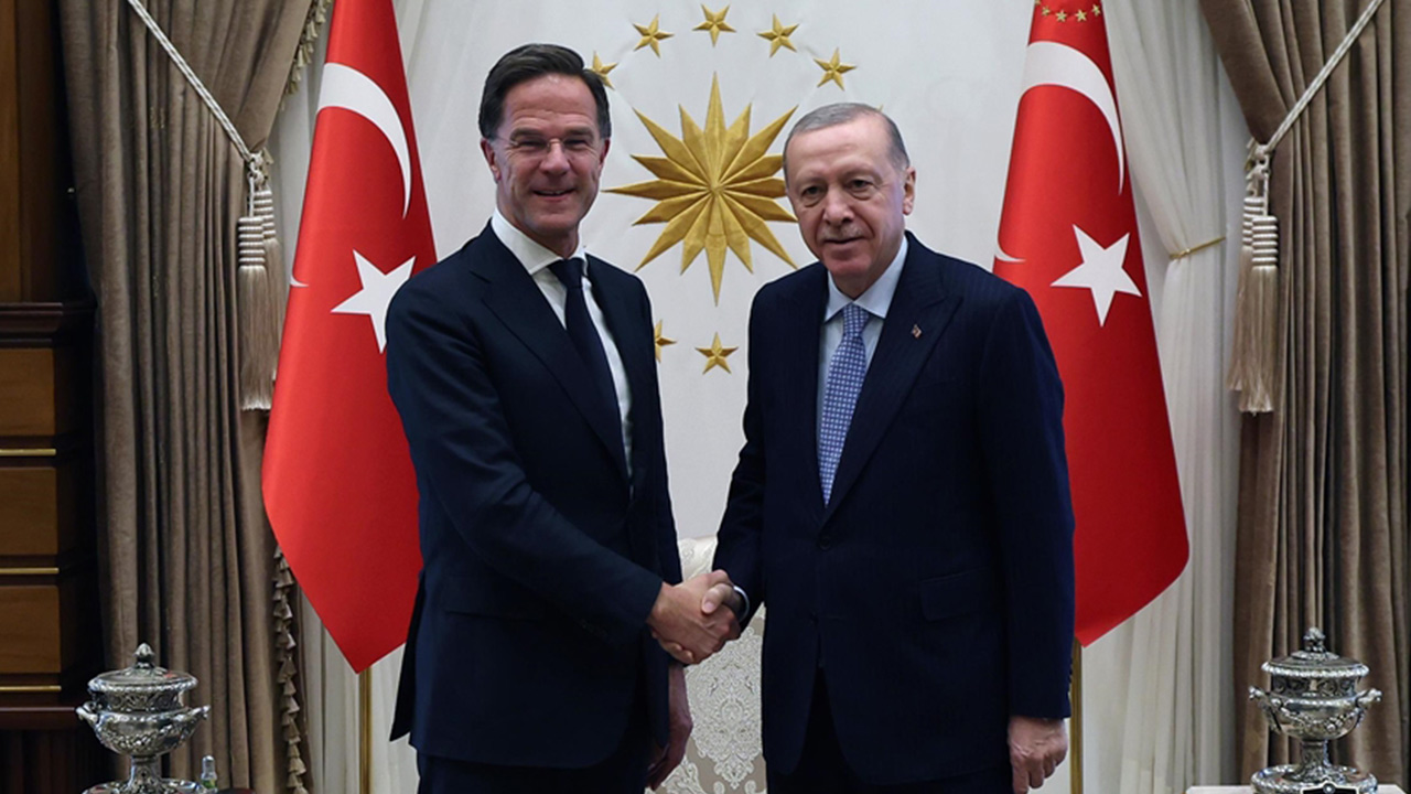 Erdogan Rutte