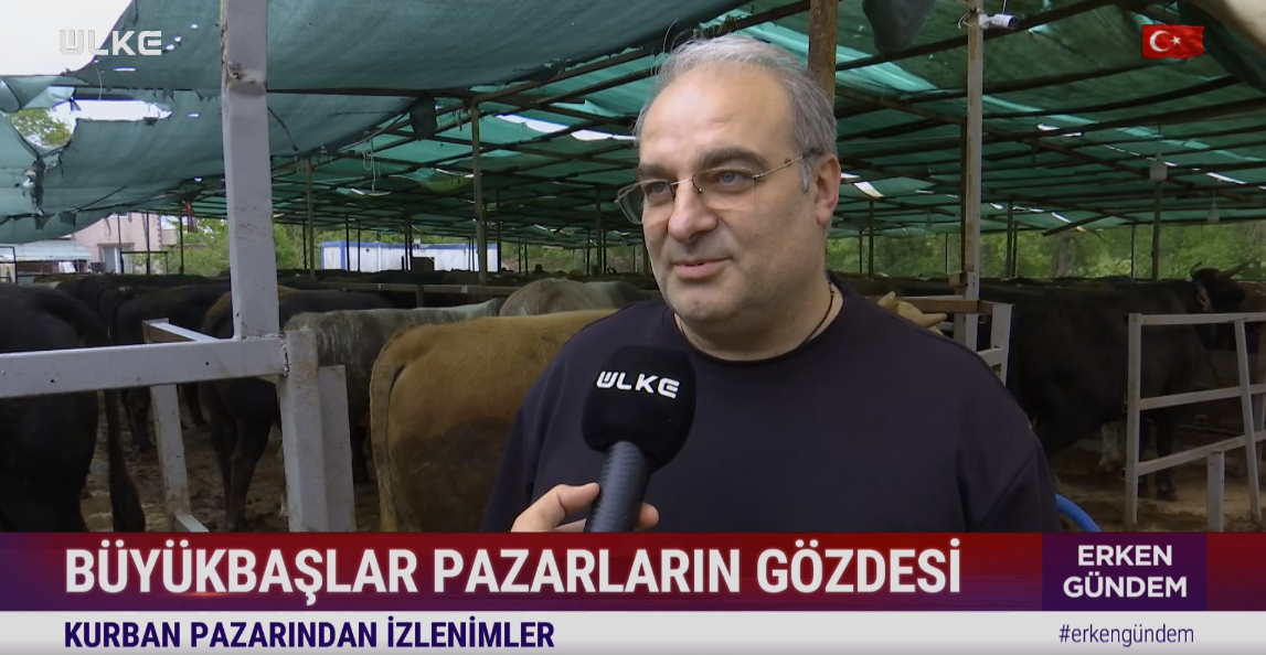 kurban-fiyatları-ne-kadar