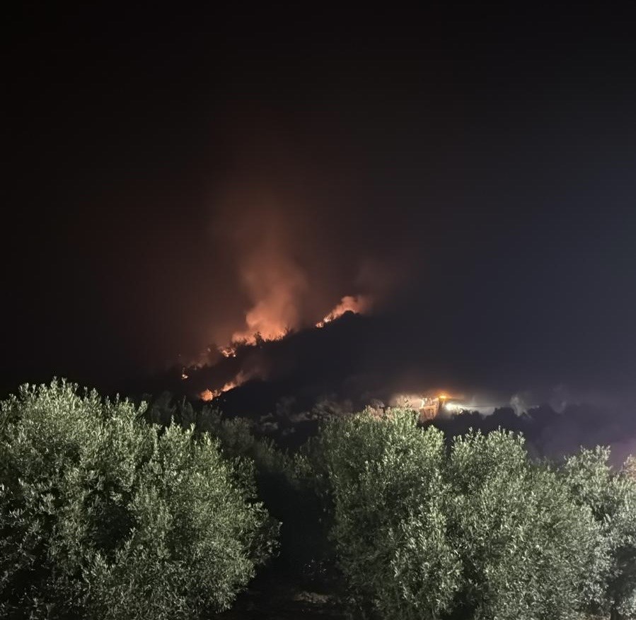 Izmir Yangın (5)