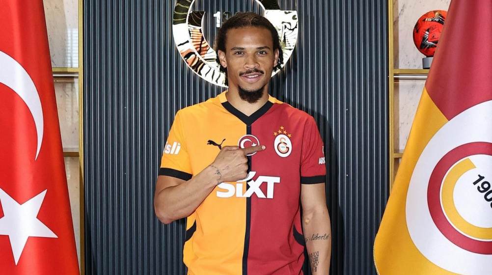 Sane