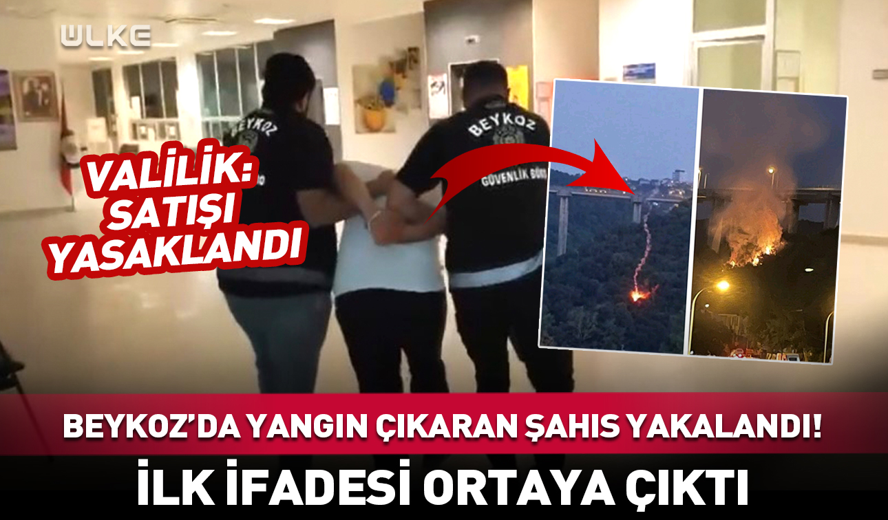 Beykoz Yangin-1