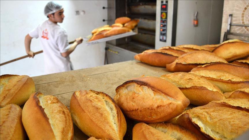 Ekmek Haber