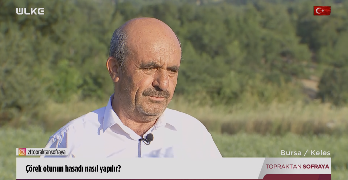 topraktan-sofraya