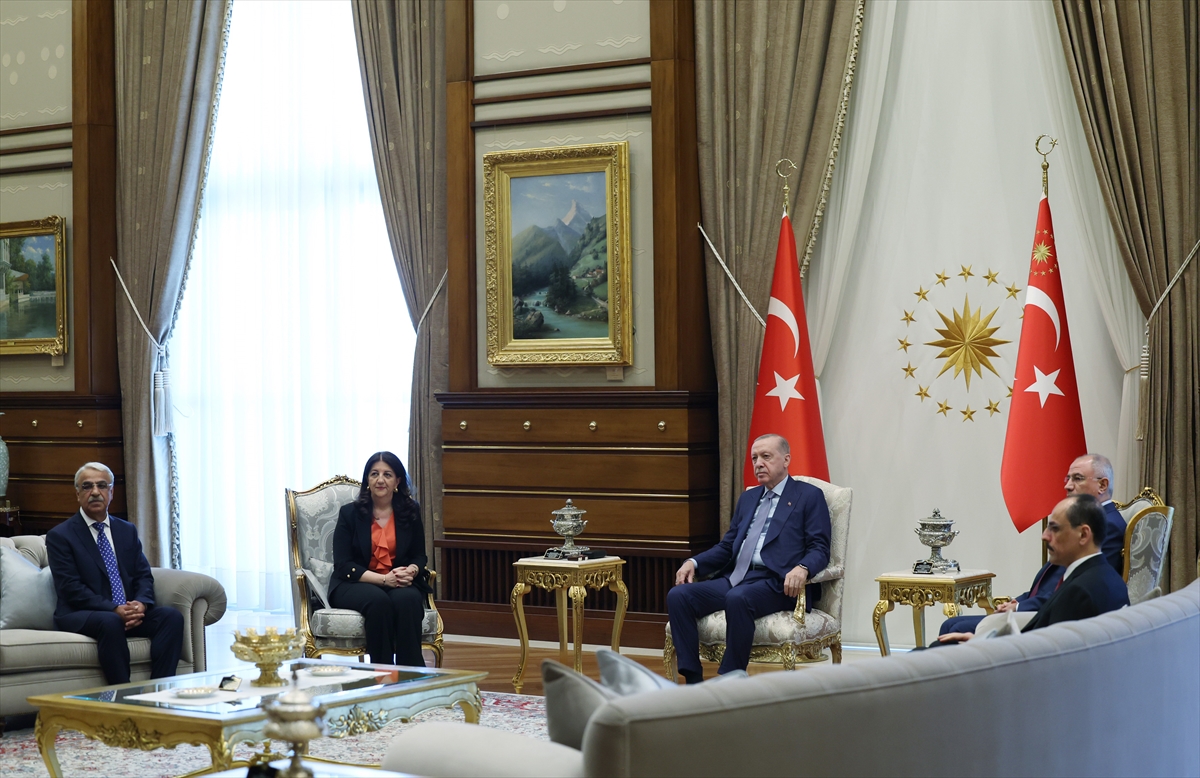 Erdogan Dem Gorusmesi (2)