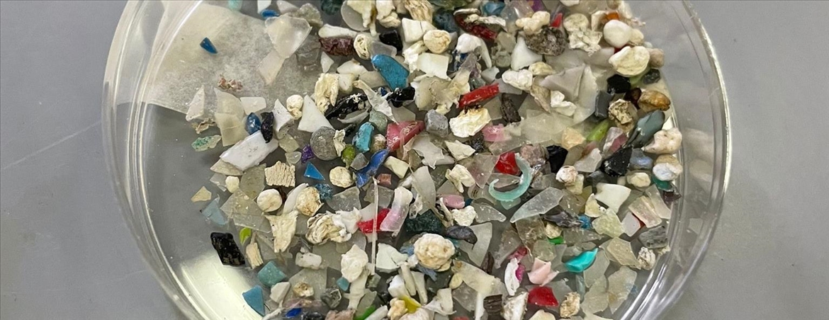 Mikroplastik 4