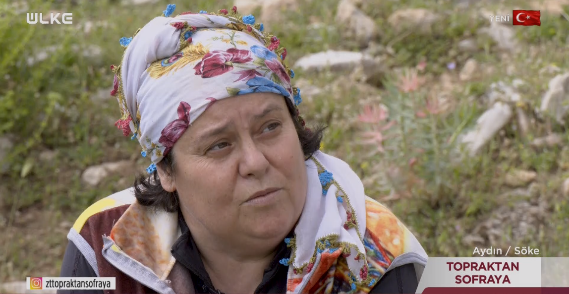 Zeynep Tor-1