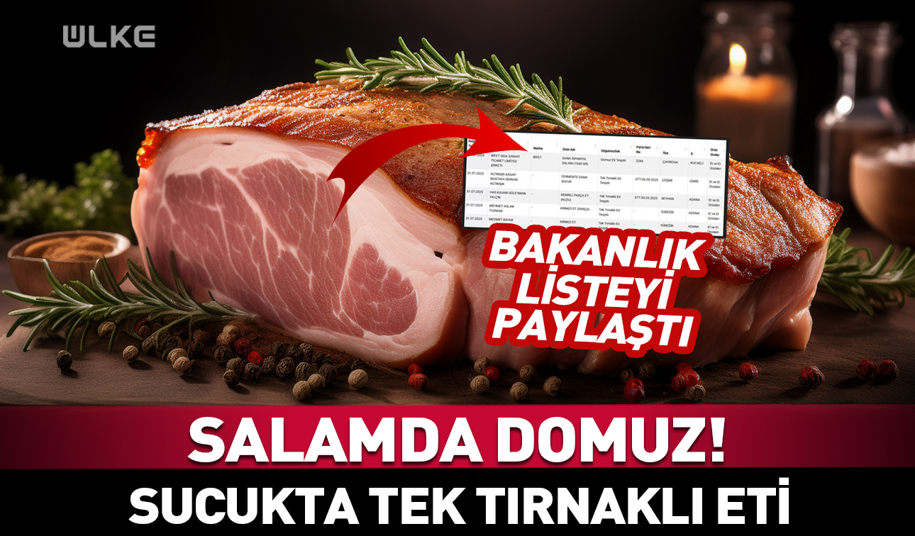 Domuz Eti Haber