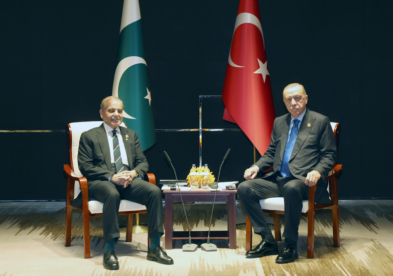 Erdogan Serif (3)