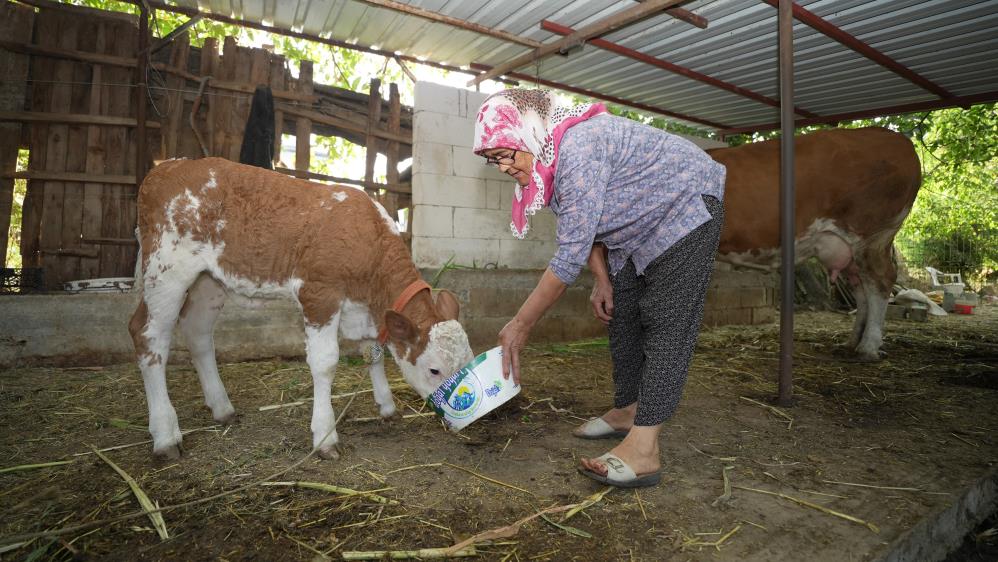 Gunay Teyze Kim Milyoner Olmak Ister (8)