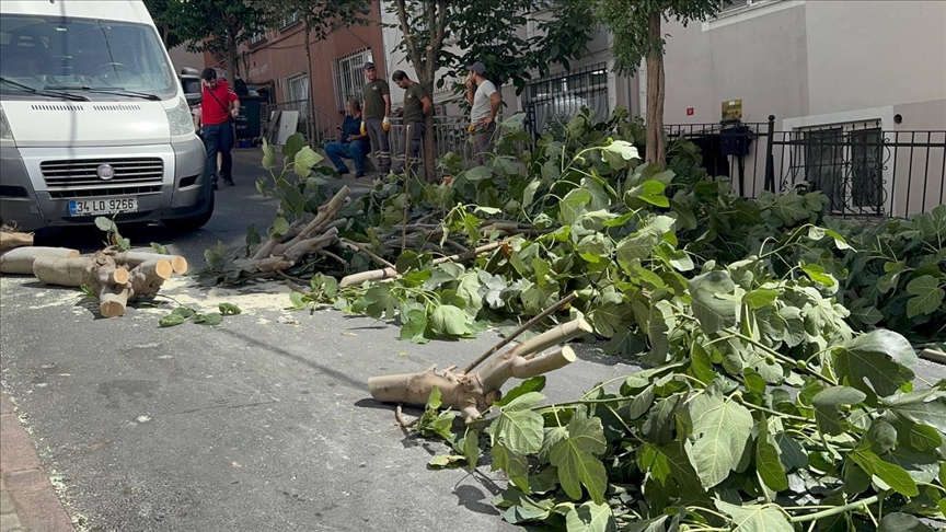 Istanbul Frtina Yagmur (3)