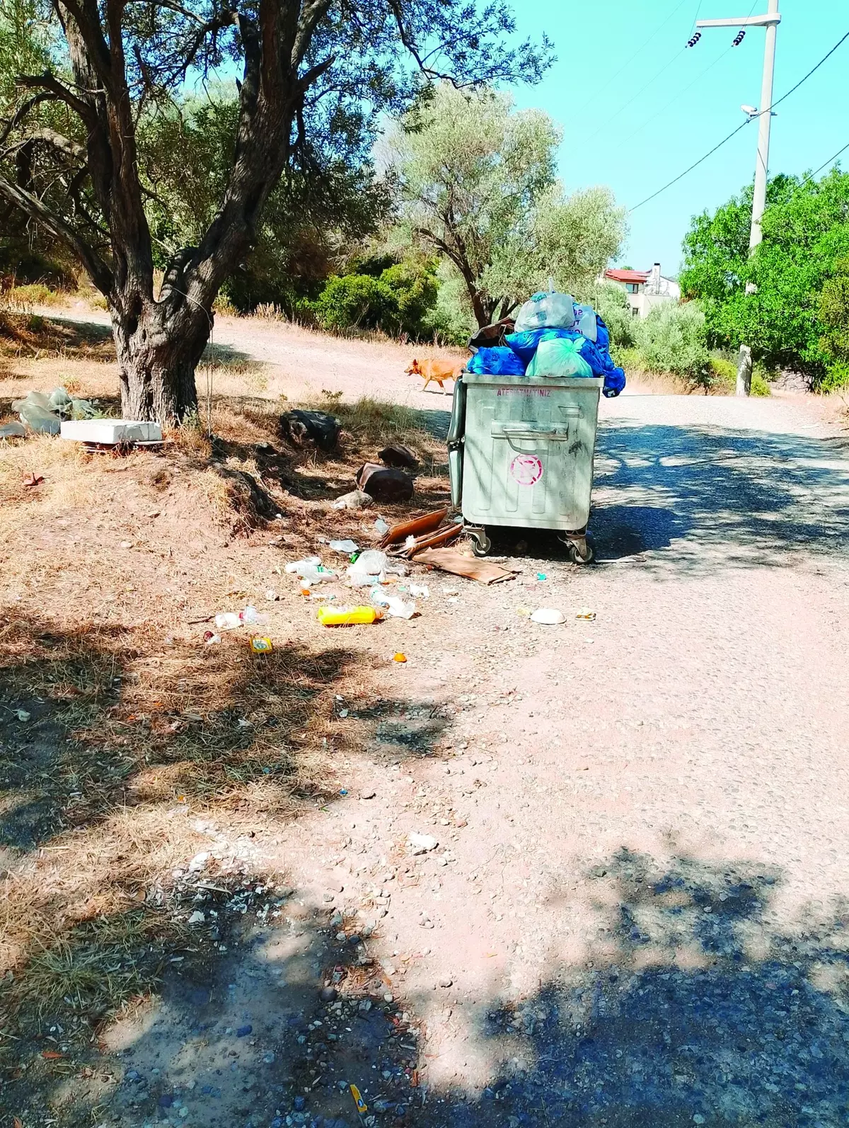 Chp Izmir Cop (2)
