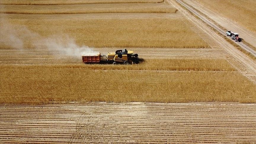 Çiftçi Para Ödemeleri Hesaplara Ne Zaman Yatacak 2025