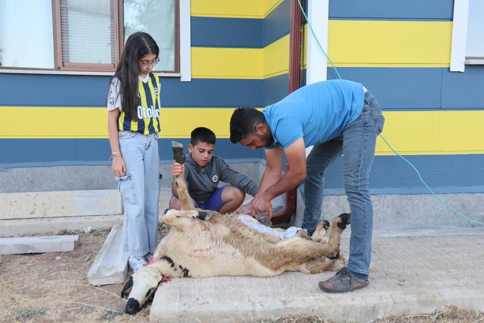 Fenerbahce Kurban Kestiler (2)