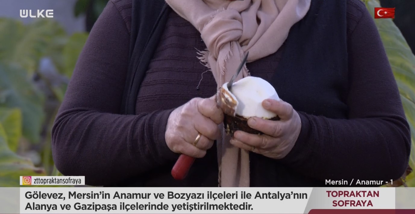 Golevez Mersin Anamur
