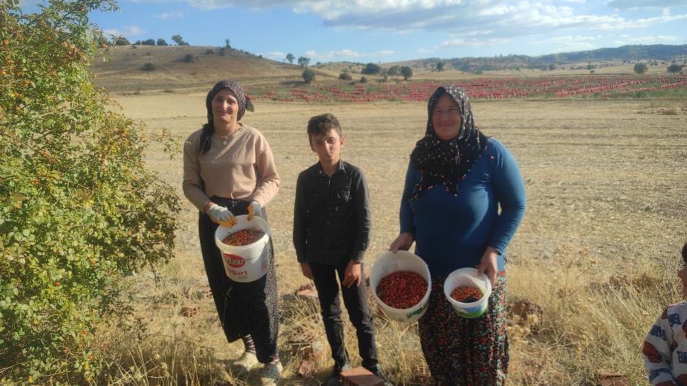 Kusburnu Saglik (2)