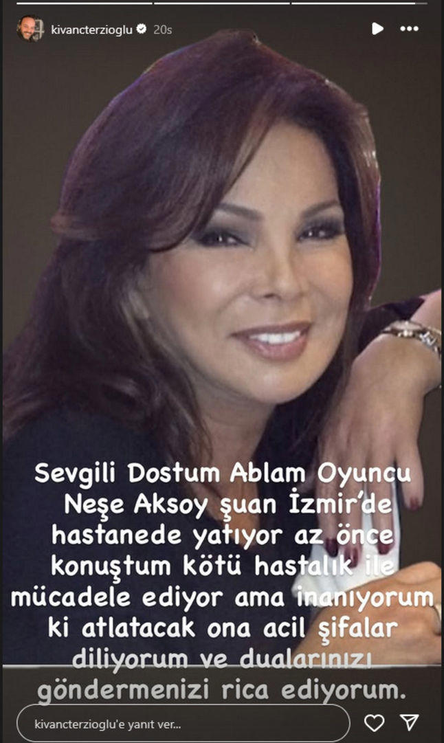 Nese Aksoy