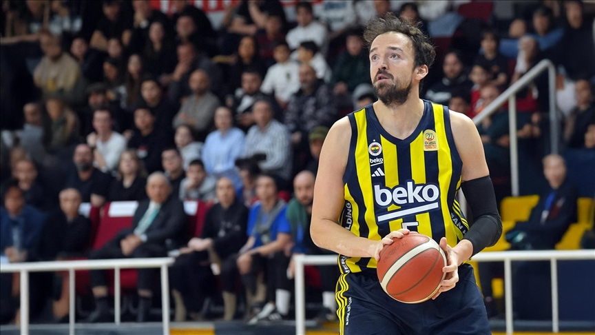 Sertac Sanli Fenerbahce