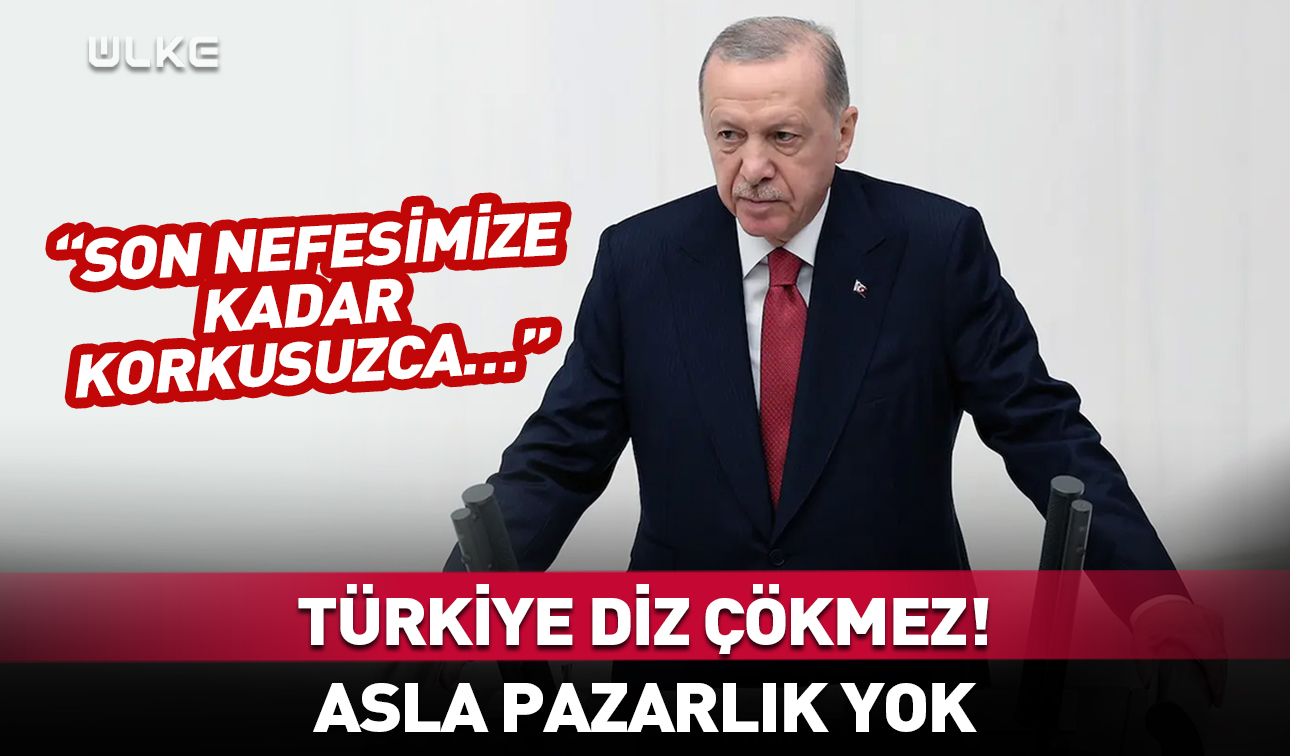 Erdogan Tbmm-3