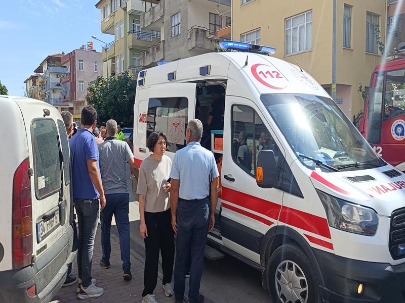 Kedi Haber Sondakika (1)