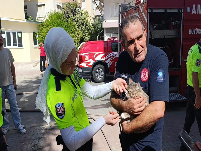 Kedi Haber Sondakika (9)