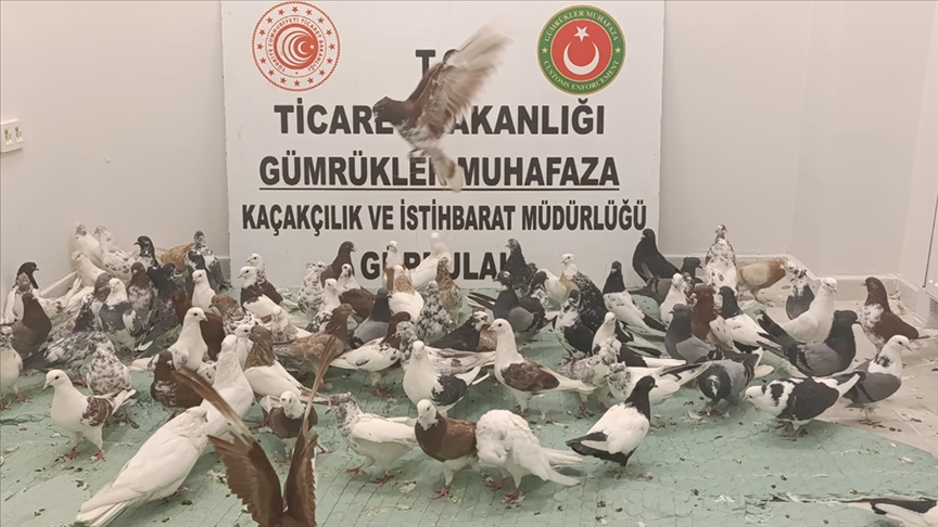 Ticaret Bakanlıgı-4
