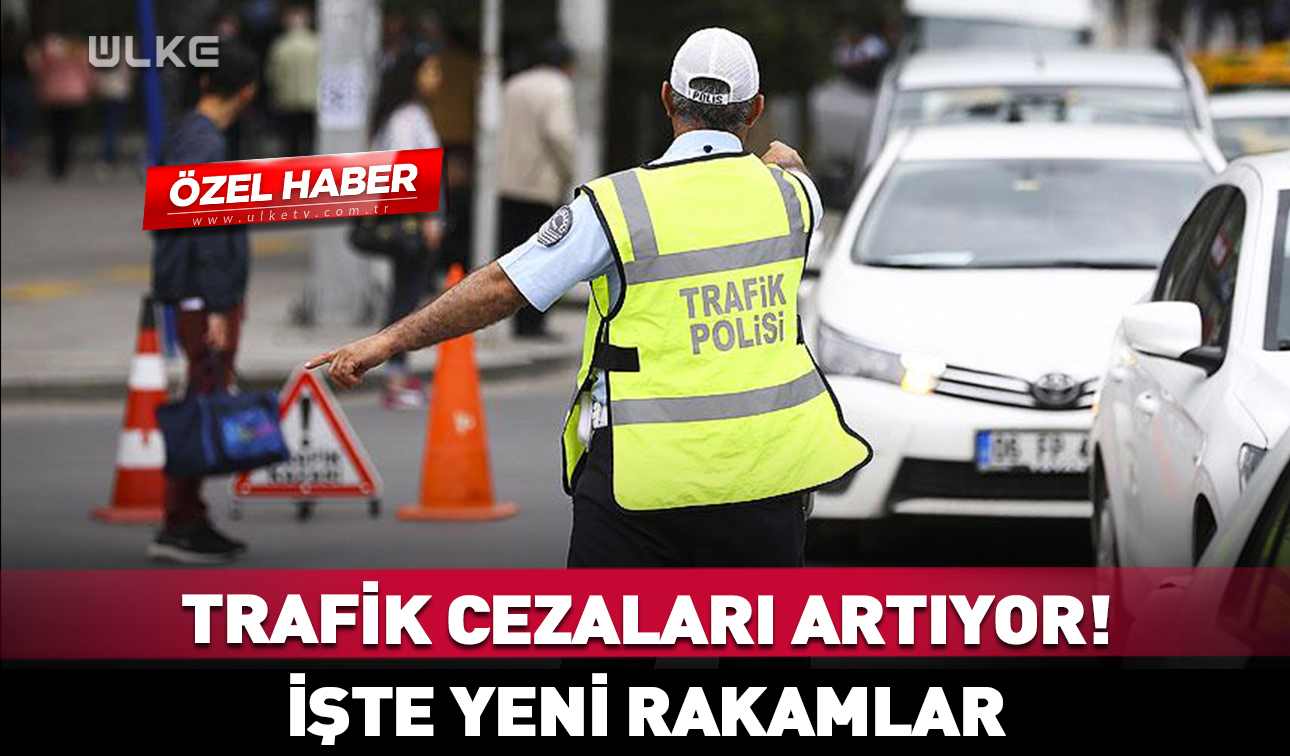 Trafik Polisi Ceza