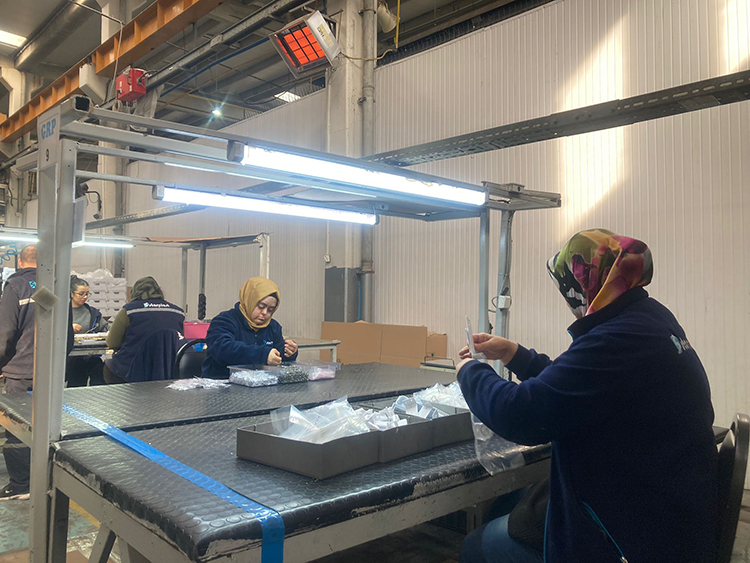 Down Sendromlu Genç1