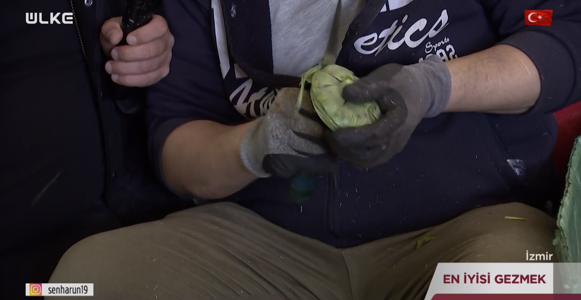 Ekran Görüntüsü 2025 11 10 111146