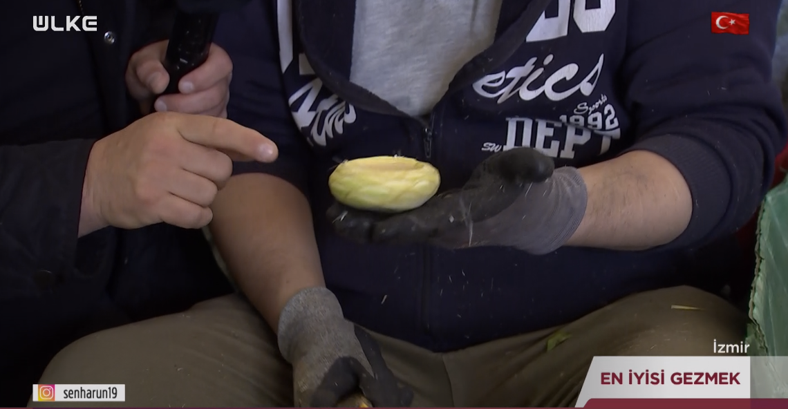 Ekran Görüntüsü 2025 11 10 111155