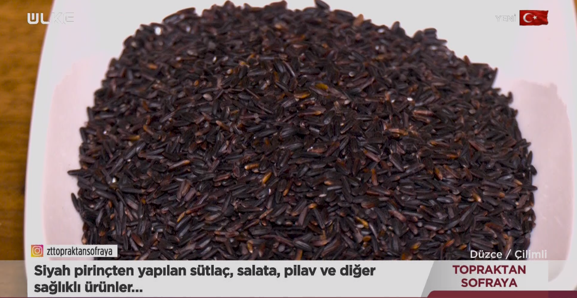 Ekran Görüntüsü 2025 11 17 105350