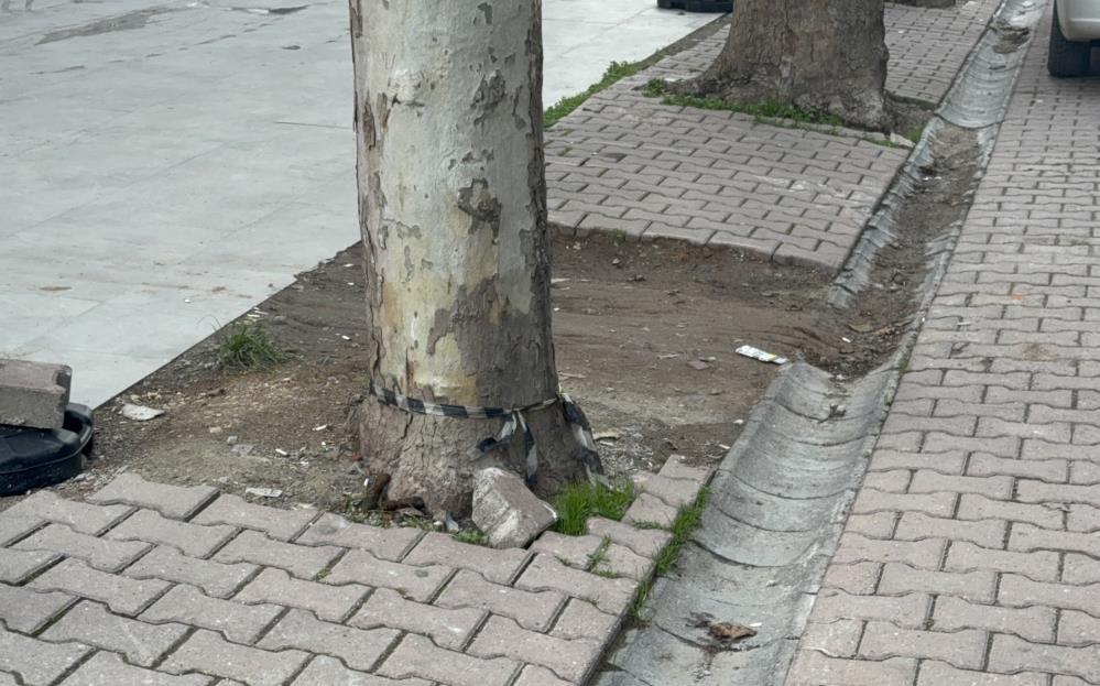 Dolar Haber Kocaeli (1)