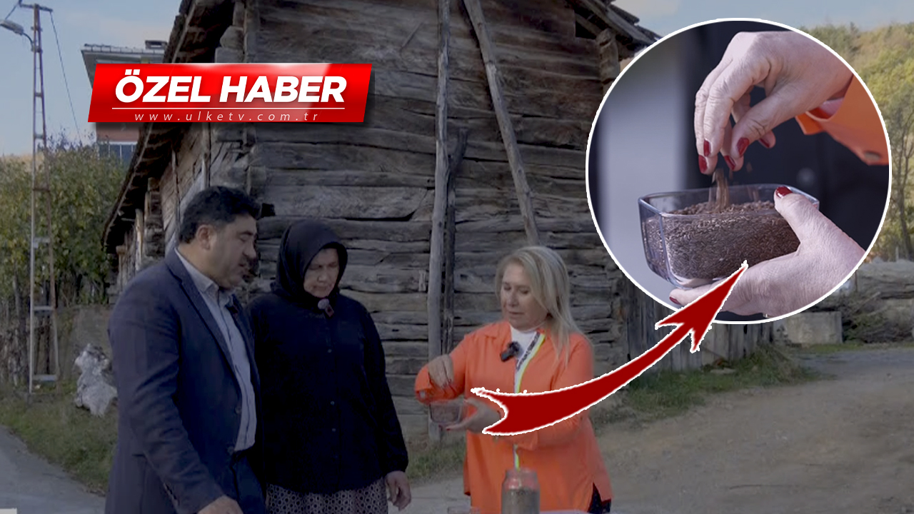 Tam bir şifa kaynağı! Yoğurt ile ayrı bal ile ayrı faydalı...