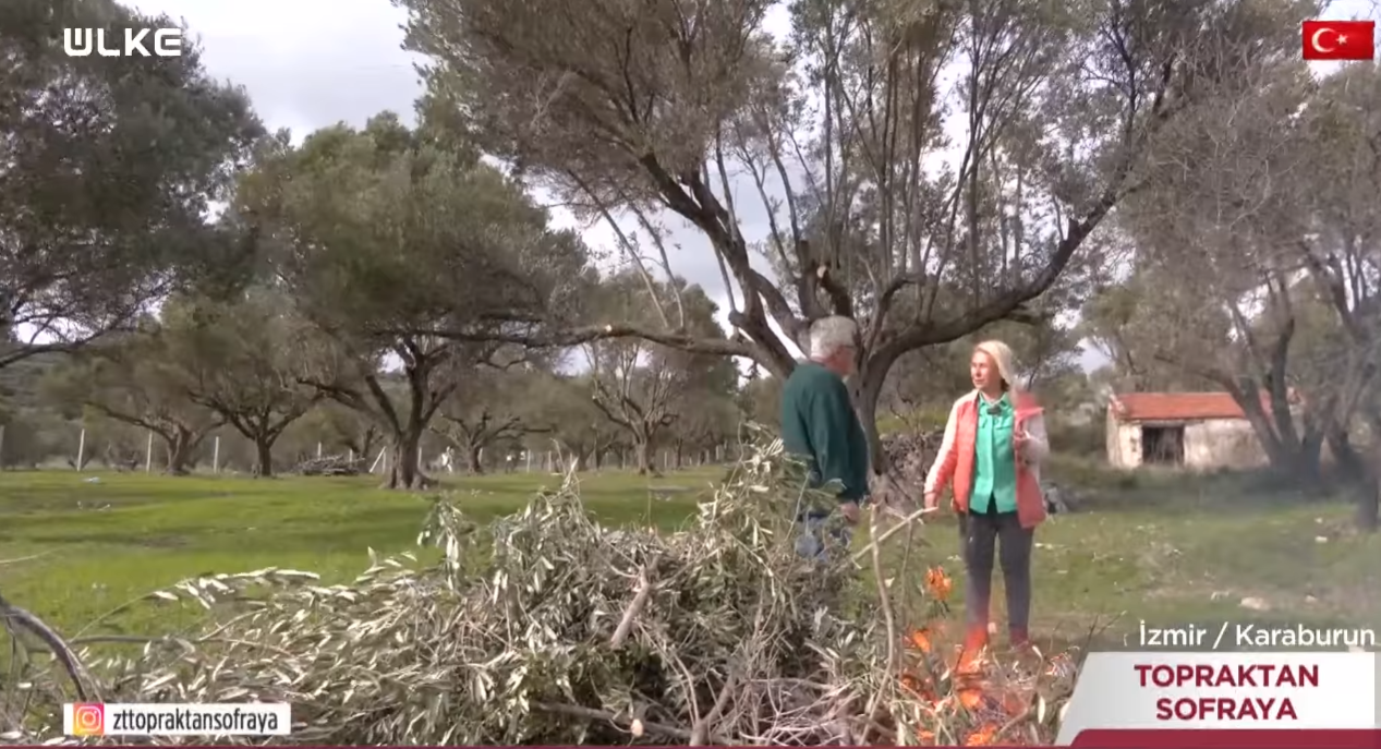 Ekran Görüntüsü 2026 01 20 150546