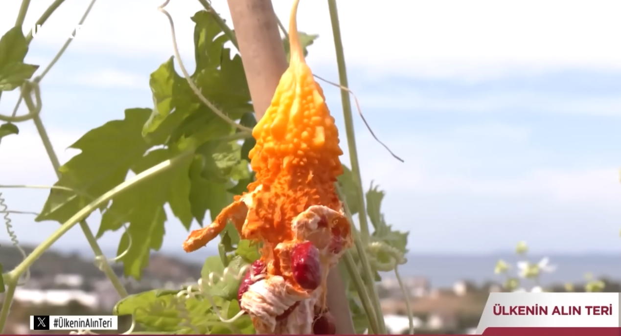 Ekran Görüntüsü 2026 01 21 163646