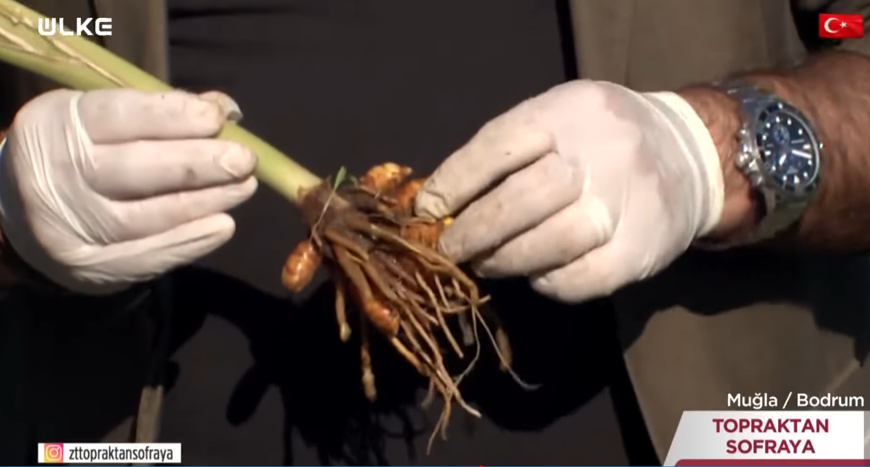 Ekran Görüntüsü 2026 01 27 162313