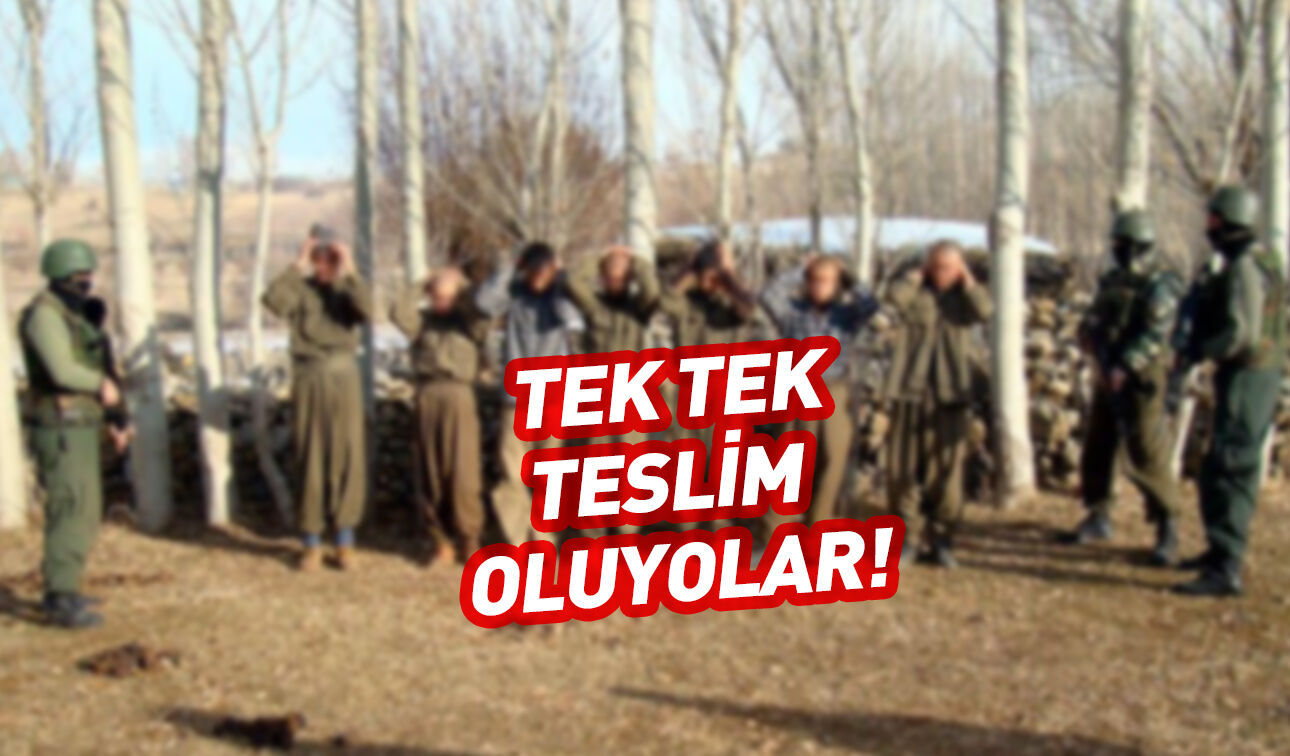 134 PKK'lı teslim oldu! Son veriler paylaşıldı