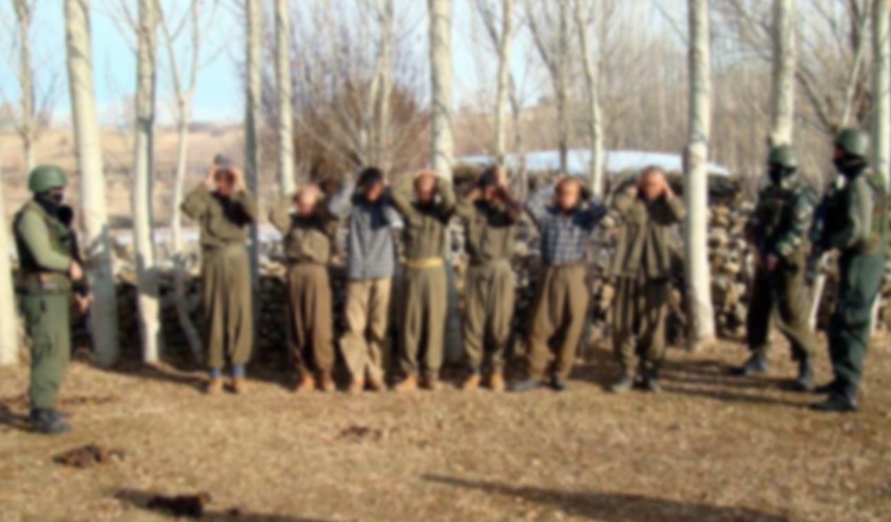 Terörist Teslim Haber