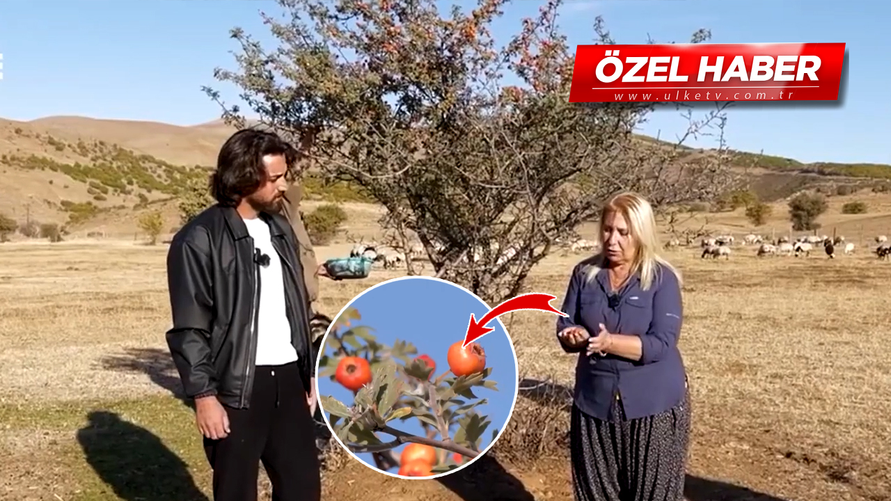 Şifa resmen bu meyvede! Strese son veriyor, kalbe iyi geliyor