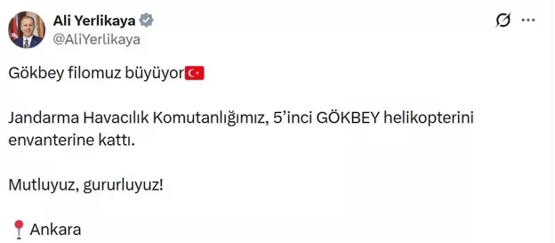 Ali Yerlikaya Gokbey