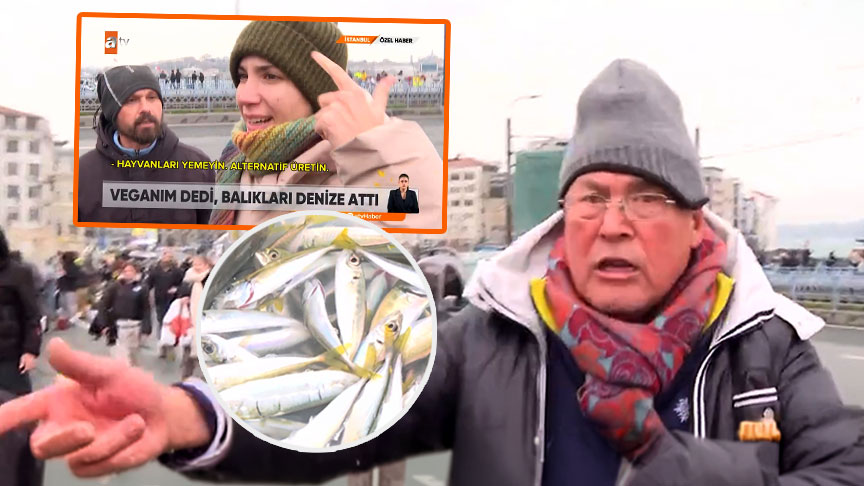 Galata Köprüsü'nde bir garip olay! Vegan kadın balıkçıya karşı