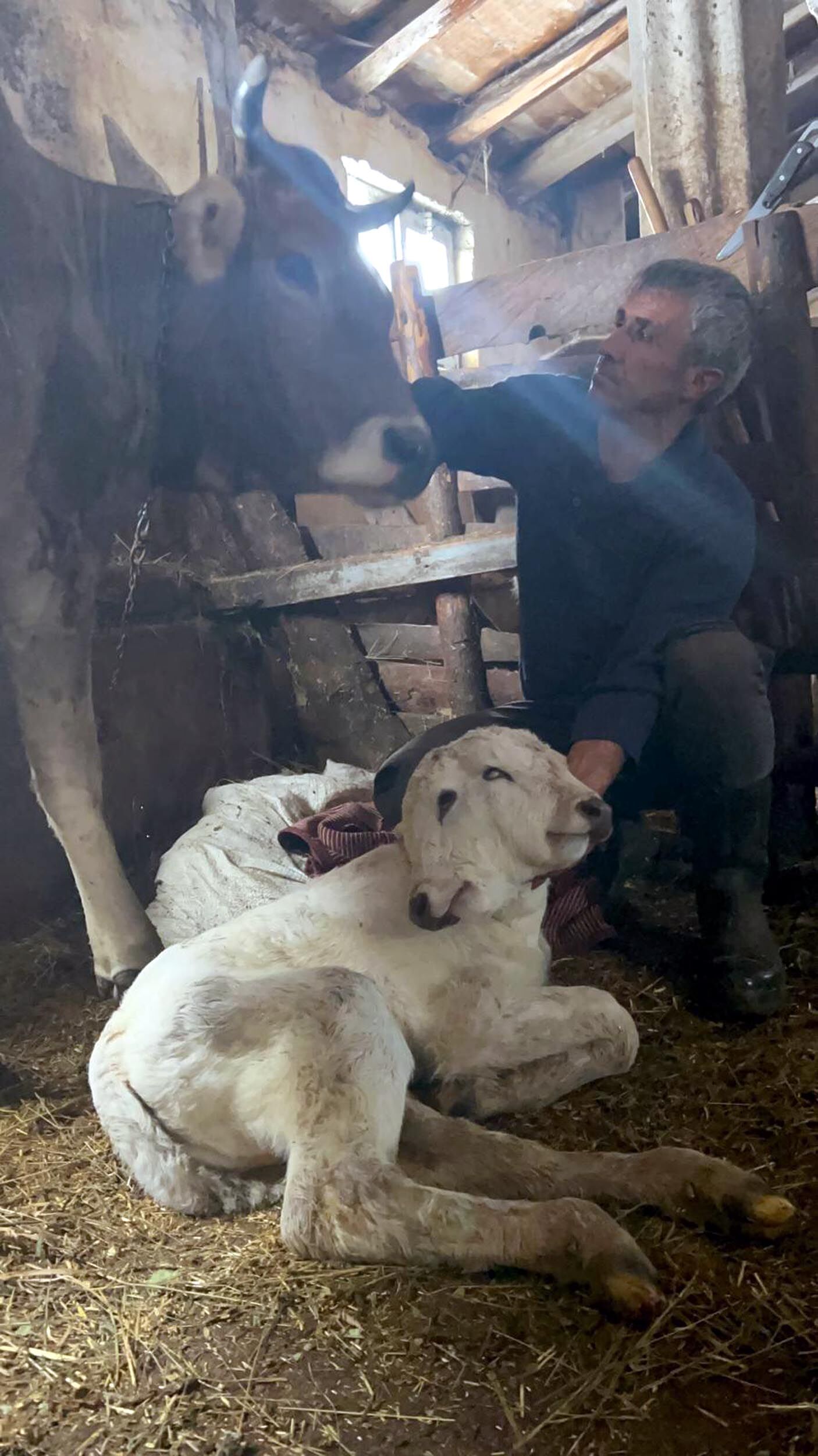 E R Z U R U M D A C I F T B A S L I B U Z A G I D U N Y A Y A G E L 1190026 353612