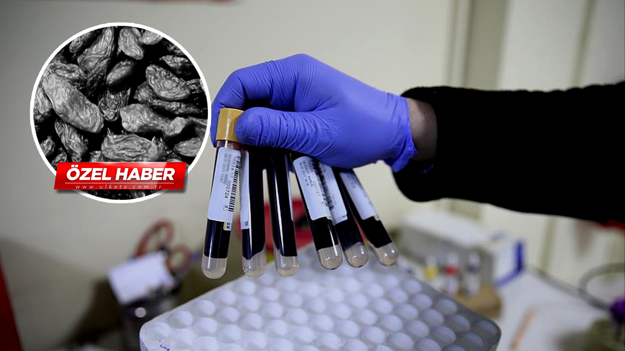 Kansızlığa birebir! Faydaları say say bitmiyor