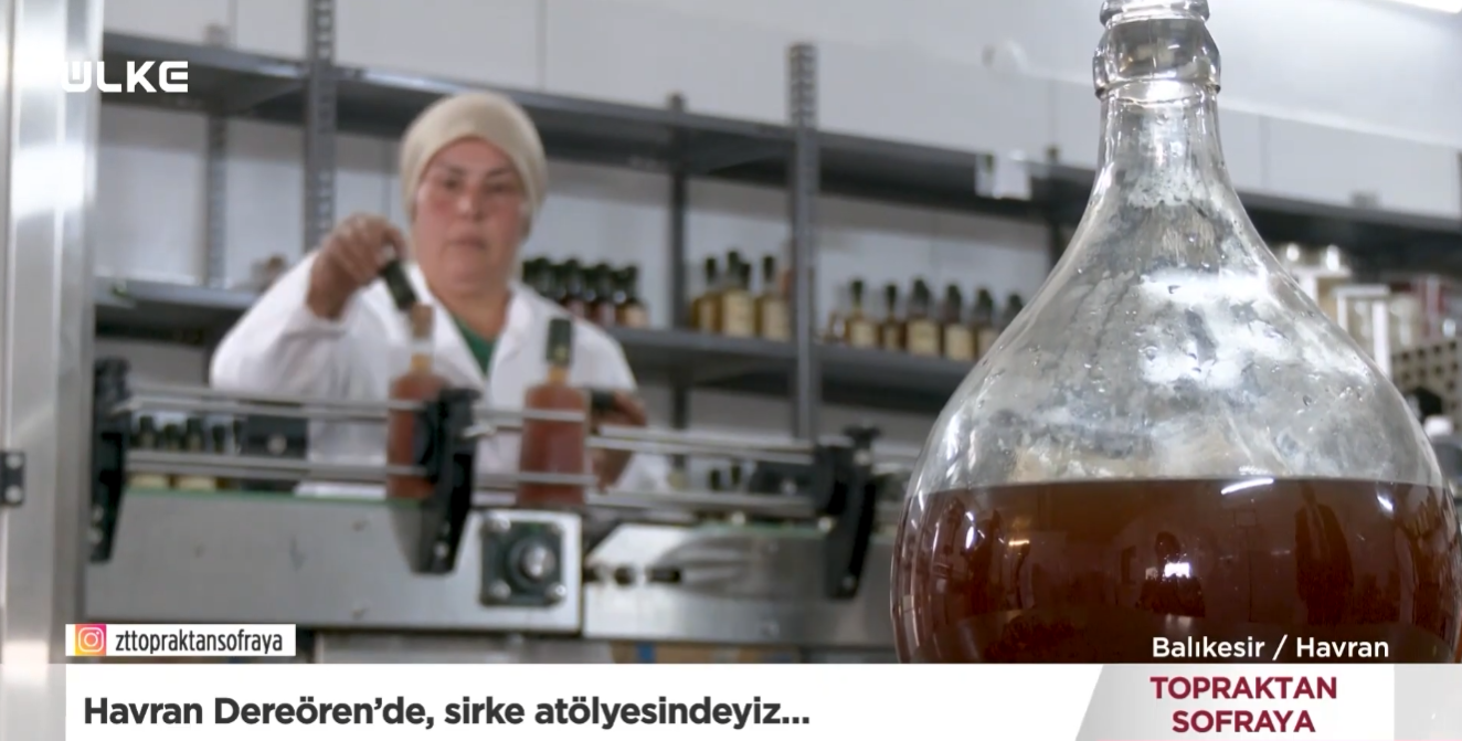 Topraktan Sofraya Sirke (1)