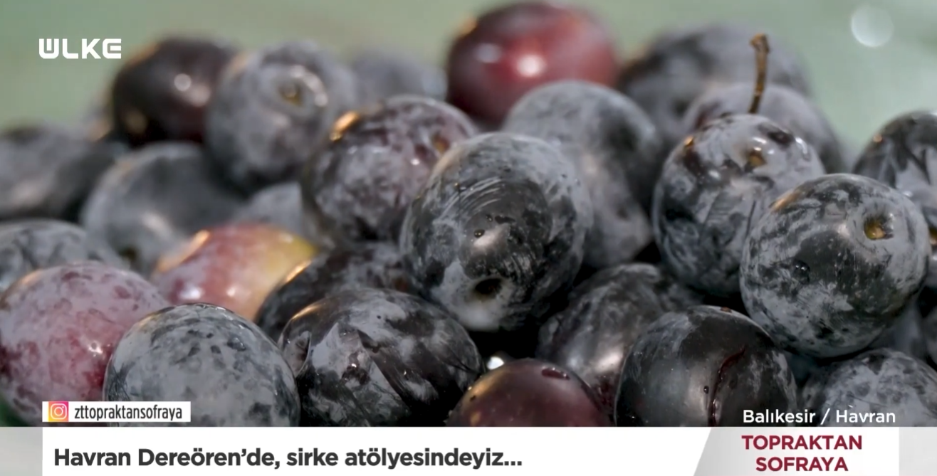 Topraktan Sofraya Sirke (4)
