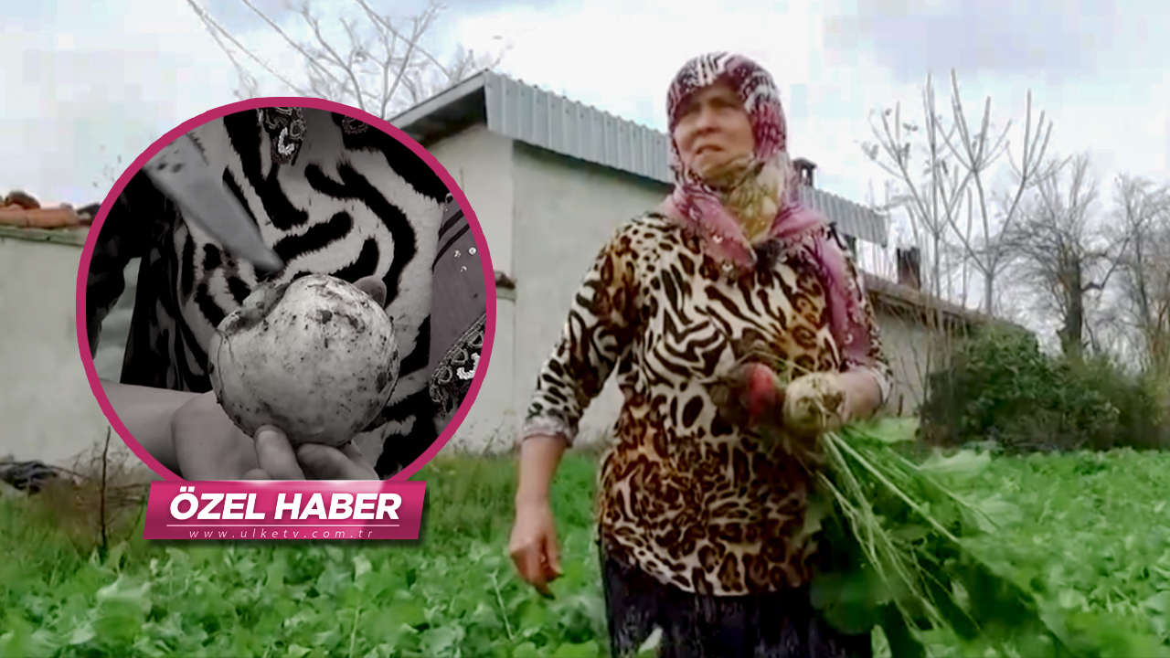 Öksürüğe bire bir! Bal ile birleşince doğal ilaca dönüşüyor