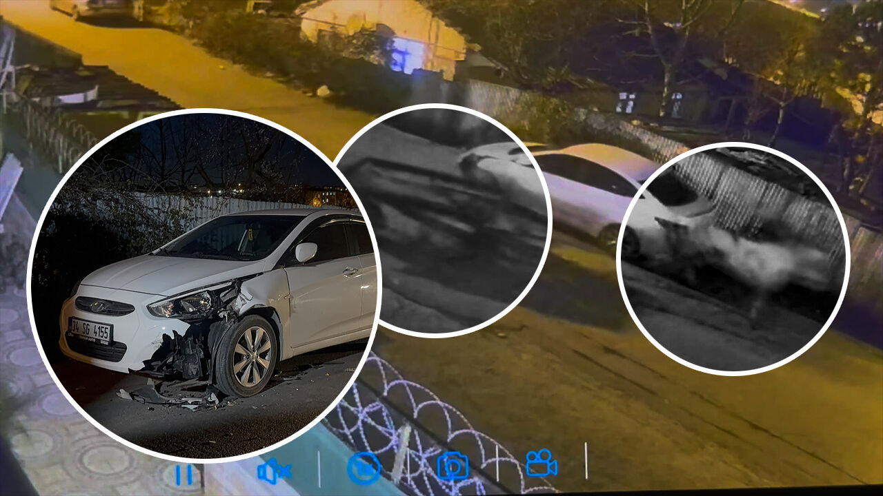 Duyanlar inanamadı! İstanbul'da arabaya "at" çarptı