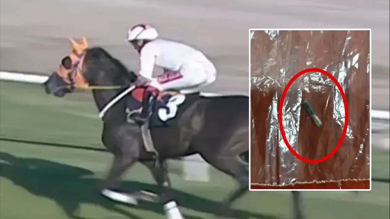 Yarış atını kavurma yapmışlar! CHP'li belediyede büyük skandal