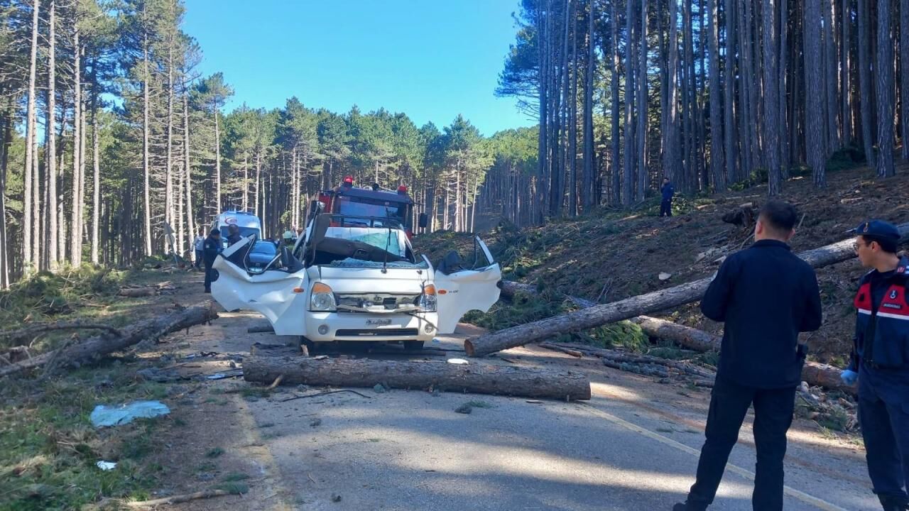 Bursa'da feci olay! Kesilen ağaç kamyonetin üzerine devrildi: Ölü ve yaralılar var